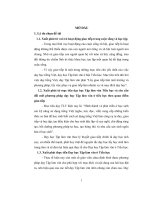 Dạy học tập làm văn ở tiểu học theo lý thuyết giao tiếp