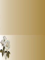 Nền bài giảng 8