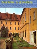 Bài 9: Quy luật Menđen - QL phân li độc lập