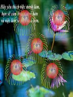 Tiết 4:Biểu diễn lực