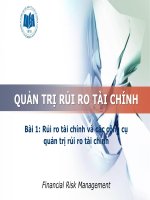 Bai1 rủi ro tài chính và quản trị rủi ro tài chính