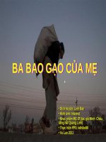 Bao gạo của mẹ