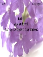 Tiết 8-Bài 11-Sản xuất và bảo quản giống cây trồng