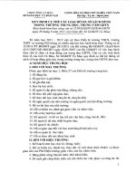 Mẫu kế hoạch các bộ phận THCS