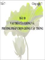 Tiết 7-Bài 10-Vai trò của giống và phương pháp chọn tạo tạo giống cây trồng