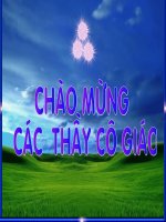 Tập đọc:Sau cơn mưa(Tiết 2)