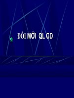 ĐỔI MỚI LĐ & QL  TRƯỜNG PT (PGS-TS Trần Ngọc Giao)