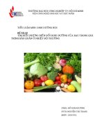 Đề tài 33 tìm hiểu những biến đổi dinh dưỡng của rau trong quá trình bảo quản ở nhiệt độ thường