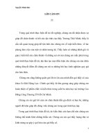 NGHIÊN CỨU ỨNG DỤNG MÔ HÌNH ĐỘNG CƠ PHUN XĂNG VÀ ĐÁNH LỬA BẰNG HỘP ECU NISSAN