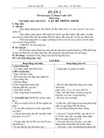 giao an lop 3 CKT-KNS