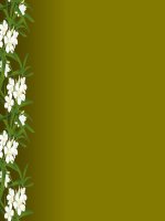 Nền bài giảng 3