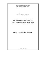 về mở rộng phân bậc của nhóm phạm trù bện