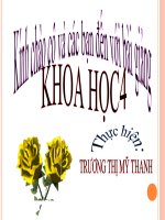 Nhu cau ve nuoc cua thuc vat