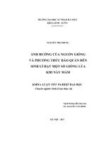 Ảnh hưởng của nguồn giống và phương thức bảo quản đến sinh lí hạt một số giống lúa khi nảy mầm