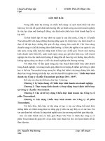 chiến lược kinh doanh của công ty cổ phần tincomland giai đoạn 2011- 2015