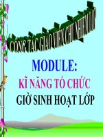 kỹ năng tổ chức sinh hoạt lớp