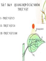 bai 9 11cb quang hop c3 c4 cam