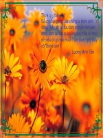 Hình ảnh động cho giáo án điện tử