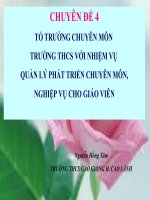 TÀI LIỆU TẬP HUẤN CÔNG TÁC TỔ TRƯỞNG CHUYÊN MÔN CHUYÊN ĐỀ 4 - NGUYỄN HỒNG TÂM