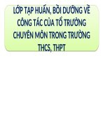 TÀI LIỆU TẬP HUẤN CÔNG TÁC TỔ TRƯỞNG CHUYÊN MÔN CHUYÊN ĐỀ 2 - NGUYỄN HỒNG TÂM