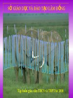 Giáo dục giá trị sống