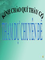 Tham luận Chuyên đề VỆ SINH AN TOÀN THỰC PHẨM