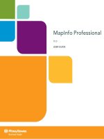 MapInfo 10 5 professional user guide