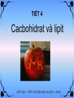 Bài 4. Cacbohidrat và lipit