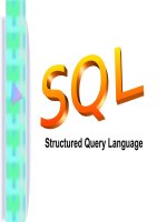 SQL structured query language