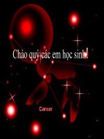 Bài 19 - Tranh dân gian Việt Nam ( ST)