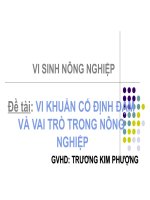 vi sinh vật cố định đạm