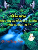 Quyền tự do kinh doanh