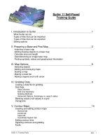 Surfer 11 self paced training guide