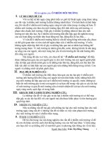 Đề tài: Ô nhiễm môi trường