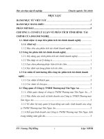 hoàn thiện công tác phân tích tài chính doanh nghiệp của công ty tnhh thương mại tân ngọc anh