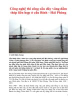 CÔNG NGHỆ THI CÔNG CẦU DÂY VẰNG DẦM THÉP LIÊN HỢP Ở CẦU BÍNH  HẢI PHÒNG