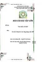 báo cáo bài tập lớn đề tài “tìm hiểu về CSS3”  môn cơ sở, kĩ thuật và các ứng dụng của XML