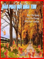 Đâu phải bởi mùa thu