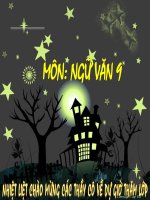 Chan dung tac gia van 9