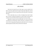 thực trạng và giải pháp phát triển thương mại hàng hóa của tỉnh sơn la đến năm 2015