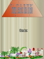 Tác động của con người đến không khí và nước