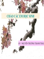 Bài 29 - TTMT_ TG & TP tiêu biểu Trường phái Hội họa Ấn Tượng