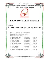 Báo cáo chuyên đề MPLS đề tài: kỹ thuật lưu lượng trong MPLS TE