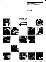 The COBOL reference guide