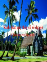 PHÂN TÍCH.......(PP NHÓM)