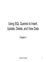 Using SQL queries to insert update, delete, and view data