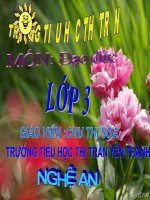 Chăm sóc cây trồng vật nuôi (2 tiết)