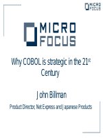 Why COBOL is strategic in the 21st  century