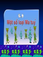 Hình ảnh về Ma Túy