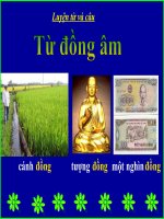 Tiết 10: Từ đồng âm